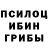 Псилоцибиновые грибы Psilocybe Gudzon Play