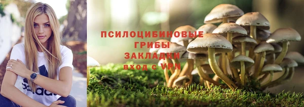 синтетический гашиш Алексеевка