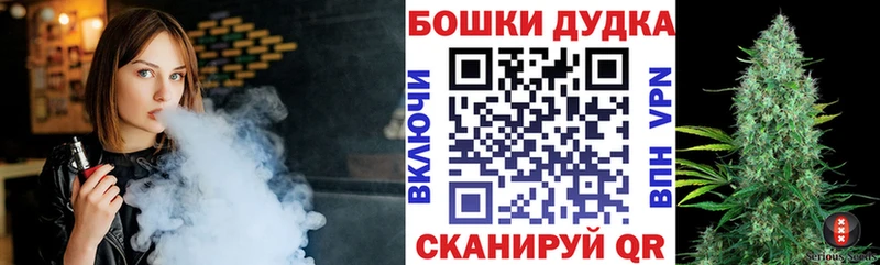Бошки Шишки конопля  Солнечногорск 